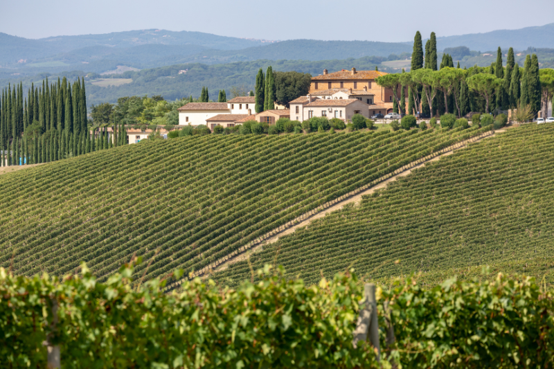 イタリア｜ナチュラルワイン・自然派ワイン通販 セルクルオンライン