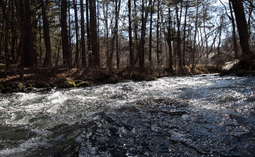 軽井沢セルクル